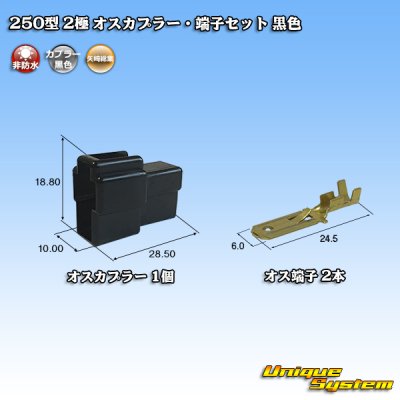 Photo1: [Yazaki Corporation] 250-type CN (A) non-waterproof 2-pole male-coupler & terminal set (black)