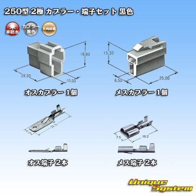 Photo5: [Yazaki Corporation] 250-type CN (A) non-waterproof 2-pole coupler & terminal set (black)