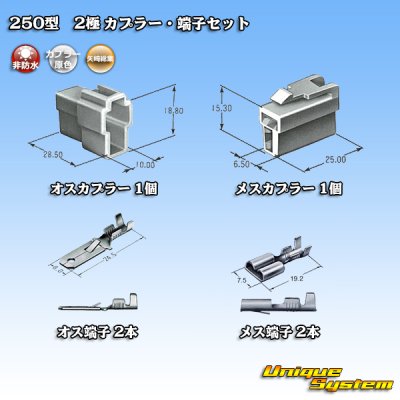 Photo5: [Yazaki Corporation] 250-type CN (A) non-waterproof 2-pole coupler & terminal set