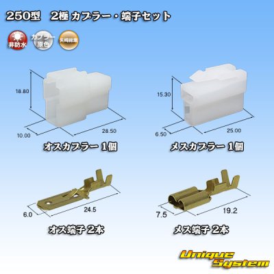 Photo1: [Yazaki Corporation] 250-type CN (A) non-waterproof 2-pole coupler & terminal set