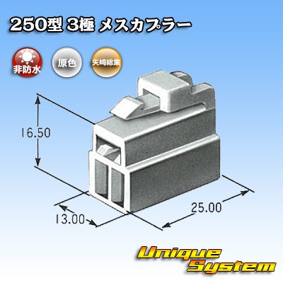 Photo3: [Yazaki Corporation] 250-type CN (A) non-waterproof 3-pole female-coupler