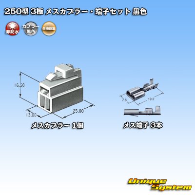 Photo4: [Yazaki Corporation] 250-type CN (A) non-waterproof 3-pole female-coupler & terminal set (black)