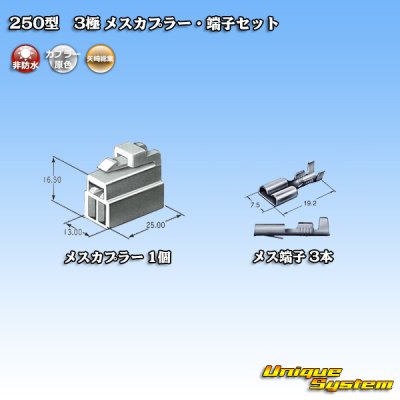 Photo4: [Yazaki Corporation] 250-type CN (A) non-waterproof 3-pole female-coupler & terminal set