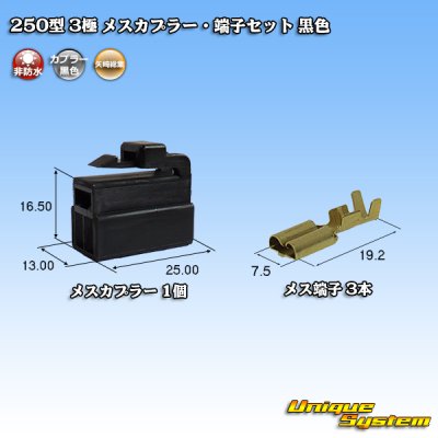 Photo1: [Yazaki Corporation] 250-type CN (A) non-waterproof 3-pole female-coupler & terminal set (black)