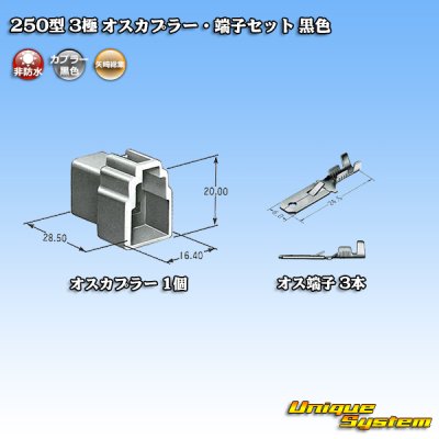 Photo4: [Yazaki Corporation] 250-type CN (A) non-waterproof 3-pole male-coupler & terminal set (black)