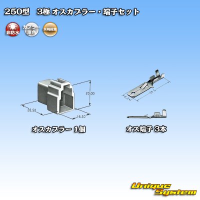 Photo4: [Yazaki Corporation] 250-type CN (A) non-waterproof 3-pole male-coupler & terminal set