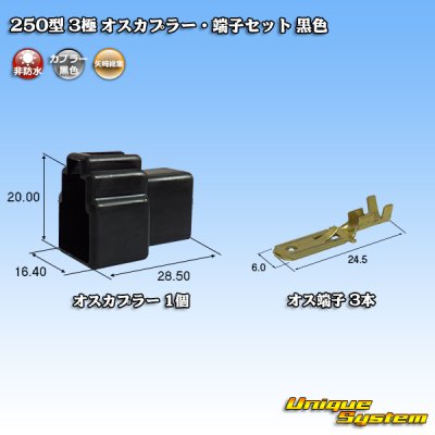 Photo1: [Yazaki Corporation] 250-type CN (A) non-waterproof 3-pole male-coupler & terminal set (black)