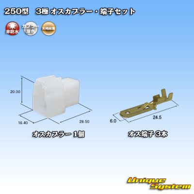 Photo1: [Yazaki Corporation] 250-type CN (A) non-waterproof 3-pole male-coupler & terminal set