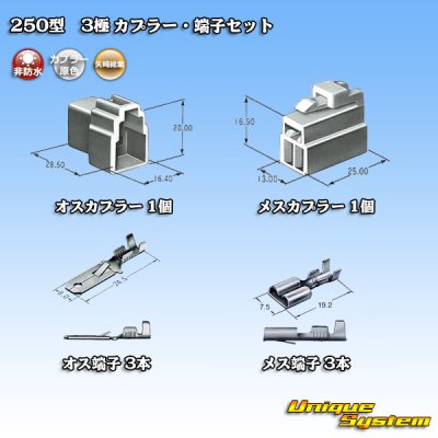 Photo5: [Yazaki Corporation] 250-type CN (A) non-waterproof 3-pole coupler & terminal set