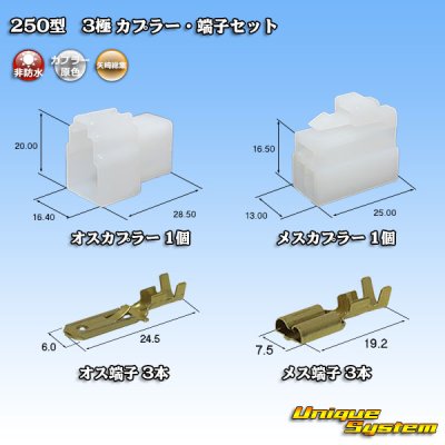 Photo1: [Yazaki Corporation] 250-type CN (A) non-waterproof 3-pole coupler & terminal set