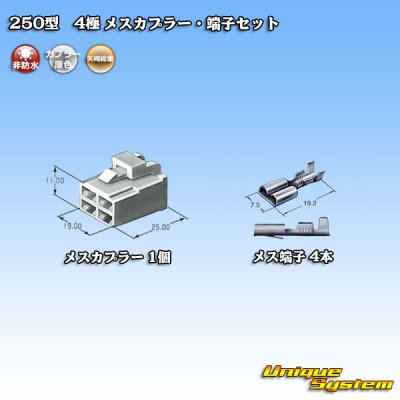 Photo4: [Yazaki Corporation] 250-type CN (A) non-waterproof 4-pole female-coupler & terminal set