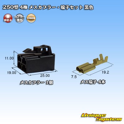 Photo1: [Yazaki Corporation] 250-type CN (A) non-waterproof 4-pole female-coupler & terminal set (black)