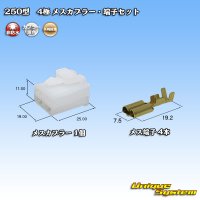 [Yazaki Corporation] 250-type CN (A) non-waterproof 4-pole female-coupler & terminal set