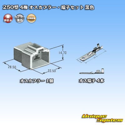 Photo4: [Yazaki Corporation] 250-type CN (A) non-waterproof 4-pole male-coupler & terminal set (black)