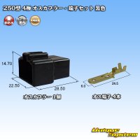 [Yazaki Corporation] 250-type CN (A) non-waterproof 4-pole male-coupler & terminal set (black)