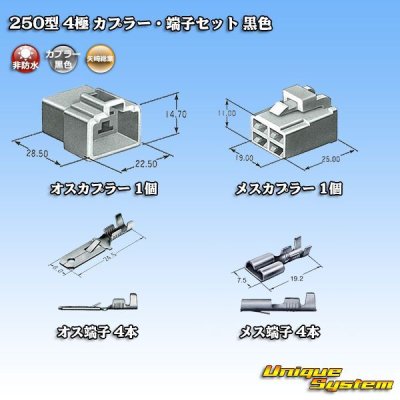 Photo5: [Yazaki Corporation] 250-type CN (A) non-waterproof 4-pole coupler & terminal set (black)