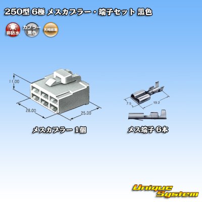 Photo4: [Yazaki Corporation] 250-type CN (A) non-waterproof 6-pole female-coupler & terminal set (black)