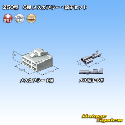 Photo4: [Yazaki Corporation] 250-type CN (A) non-waterproof 6-pole female-coupler & terminal set