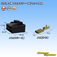 [Yazaki Corporation] 250-type CN (A) non-waterproof 6-pole female-coupler & terminal set (black)