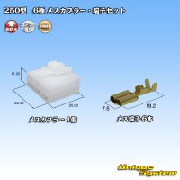 [Yazaki Corporation] 250-type CN (A) non-waterproof 6-pole female-coupler & terminal set