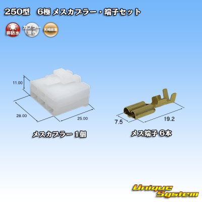 Photo1: [Yazaki Corporation] 250-type CN (A) non-waterproof 6-pole female-coupler & terminal set