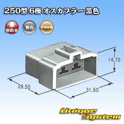 Photo3: [Yazaki Corporation] 250-type CN (A) non-waterproof 6-pole male-coupler (black)