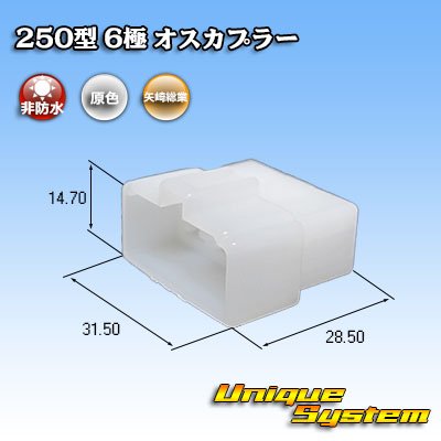 Photo1: [Yazaki Corporation] 250-type CN (A) non-waterproof 6-pole male-coupler