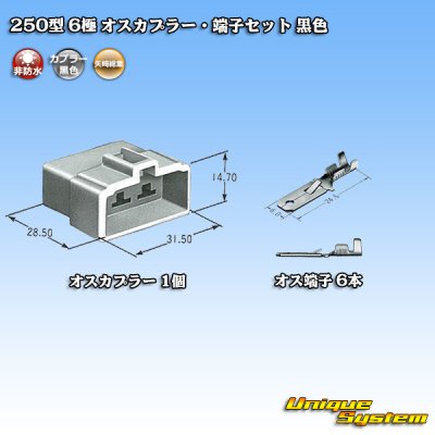 Photo4: [Yazaki Corporation] 250-type CN (A) non-waterproof 6-pole male-coupler & terminal set (black)