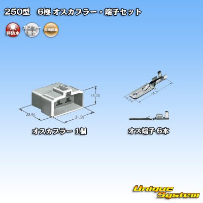 Photo4: [Yazaki Corporation] 250-type CN (A) non-waterproof 6-pole male-coupler & terminal set