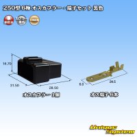 [Yazaki Corporation] 250-type CN (A) non-waterproof 6-pole male-coupler & terminal set (black)