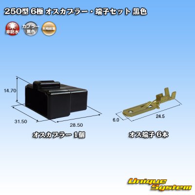 Photo1: [Yazaki Corporation] 250-type CN (A) non-waterproof 6-pole male-coupler & terminal set (black)