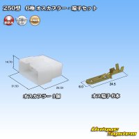 [Yazaki Corporation] 250-type CN (A) non-waterproof 6-pole male-coupler & terminal set