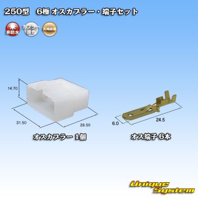 Photo1: [Yazaki Corporation] 250-type CN (A) non-waterproof 6-pole male-coupler & terminal set