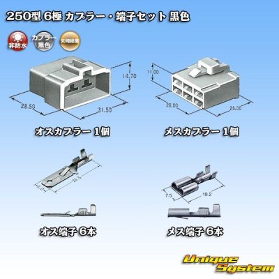 Photo5: [Yazaki Corporation] 250-type CN (A) non-waterproof 6-pole coupler & terminal set (black)