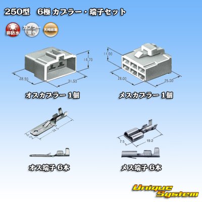 Photo5: [Yazaki Corporation] 250-type CN (A) non-waterproof 6-pole coupler & terminal set