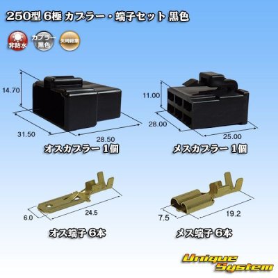 Photo1: [Yazaki Corporation] 250-type CN (A) non-waterproof 6-pole coupler & terminal set (black)