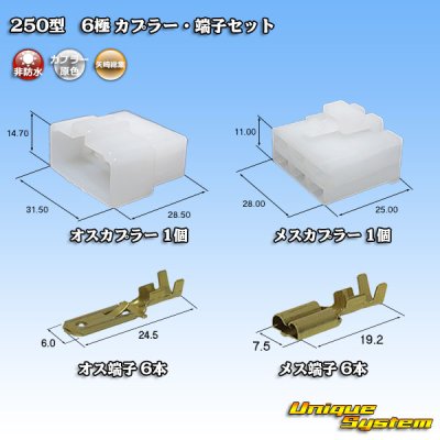 Photo1: [Yazaki Corporation] 250-type CN (A) non-waterproof 6-pole coupler & terminal set