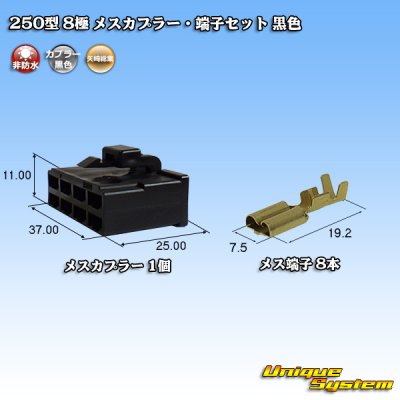 Photo1: [Yazaki Corporation] 250-type CN (A) non-waterproof 8-pole female-coupler & terminal set (black)