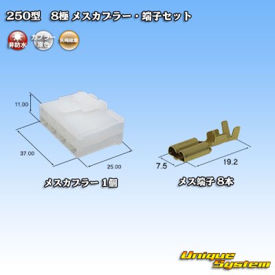 Photo1: [Yazaki Corporation] 250-type CN (A) non-waterproof 8-pole female-coupler & terminal set