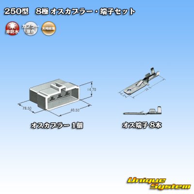 Photo4: [Yazaki Corporation] 250-type CN (A) non-waterproof 8-pole male-coupler & terminal set