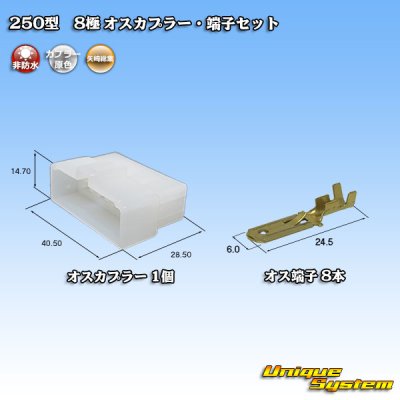 Photo1: [Yazaki Corporation] 250-type CN (A) non-waterproof 8-pole male-coupler & terminal set