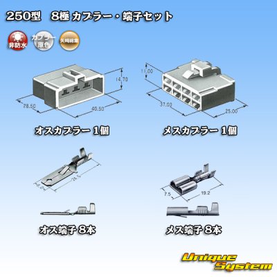 Photo5: [Yazaki Corporation] 250-type CN (A) non-waterproof 8-pole coupler & terminal set