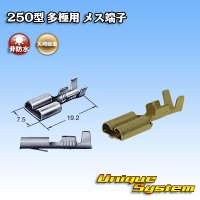 [Furukawa Electric] 250-type series non-waterproof female-terminal for turn signal relay coupler
