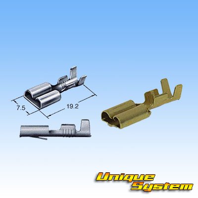 Photo3: [Ryosei] (current [Furukawa Electric]) 250-type L-type turn signal relay series non-waterproof 2-pole female-connector & terminal set