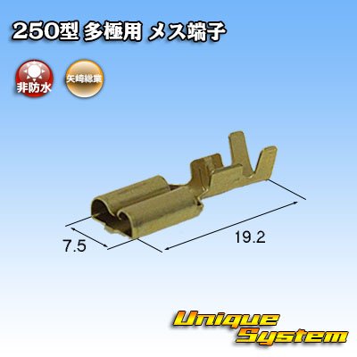 Photo2: [Yazaki Corporation] 250-type series non-waterproof multi-pole female-terminal size:M (0.5-2.0mm2)