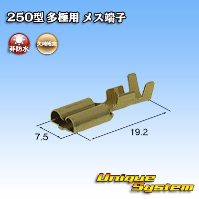 Photo2: 250-type L-type turn signal relay series non-waterproof terminal