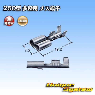 Photo3: [Yazaki Corporation] 250-type series non-waterproof multi-pole female-terminal
