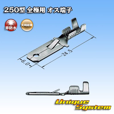 Photo3: [Yazaki Corporation] 250-type series non-waterproof all-pole male-terminal size:M (0.5-2.0mm2)