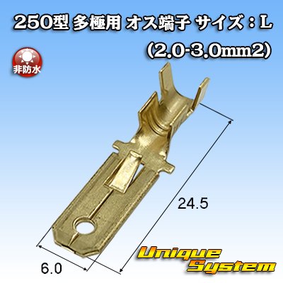 Photo1: [Yazaki Corporation] 250-type series non-waterproof all-pole male-terminal size:L (2.0-3.0mm2)