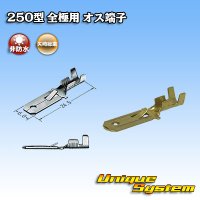 [Yazaki Corporation] 250-type series non-waterproof all-pole male-terminal size:M (0.5-2.0mm2)